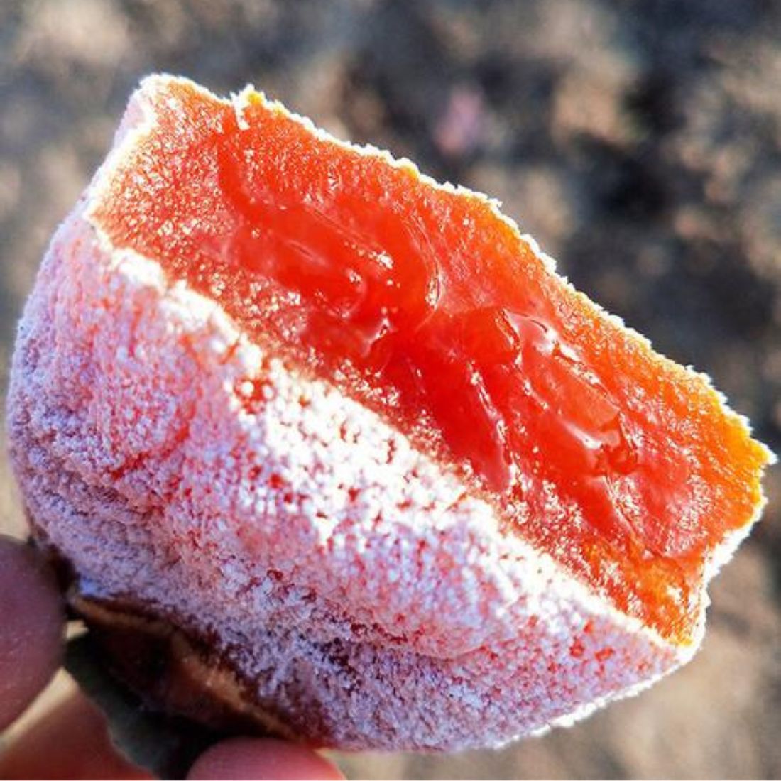 0.5kg - Fuping Dried Persimmon Handcrafted Hoshigaki