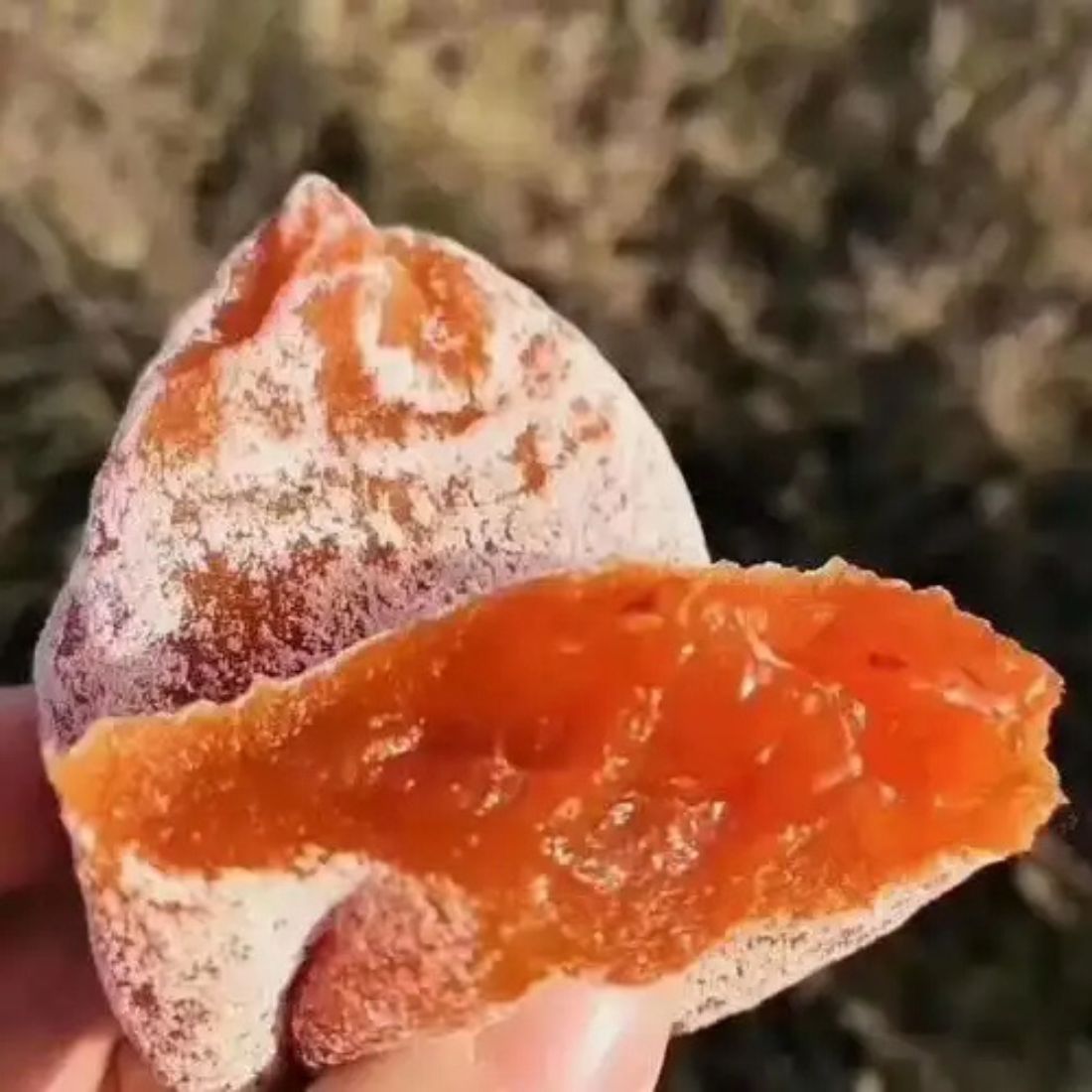 0.5kg - Fuping Dried Persimmon Handcrafted Hoshigaki